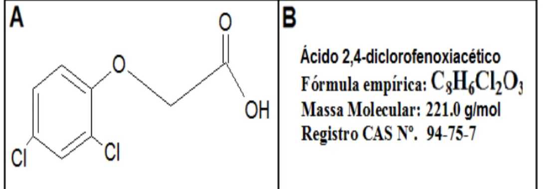 Figura  1.1  –  Painel  A:  Estrutura  Química  do  ácido  2,4-diclorofenoxiacético;    Painel  B:  Fórmula  Molecular do 2,4-D