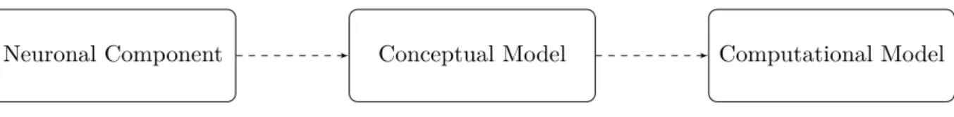 Figure 2.2: Creating a computational model of neuronal component/phenomena involves two steps