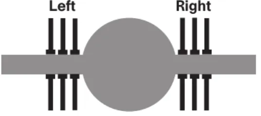 Figure 2.5: Neuron model that mimics the algorithm implemented by auditory neurons. The model consists of a soma (centre) and two cylindrical dendrites