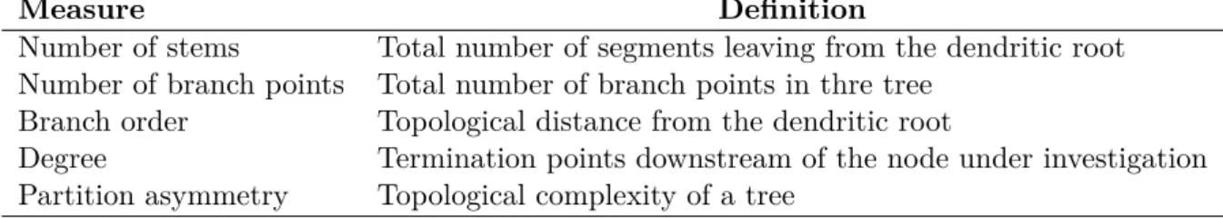 Table 3.1: List of frequently used morphometric measures to quantify neuronal topology [24].