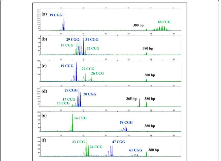 Figure 4 Examples of test group results. Multiplex-PCR assay focusing the analysis of the mutational hotspot of FMR1 CGG alleles (blue label), AFF2 CCG alleles (green label) and of the ARX ex2p (380 bp green fragment)