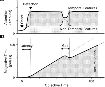 Figure 1B. The predicted effects of attention in subjective time accordingly to switch- switch-accumulation  account  (following  Lejeune,  1999;  Buhusi  &amp;  Meck,  2006);  the  attention  resources as a function of temporal and non-temporal features (
