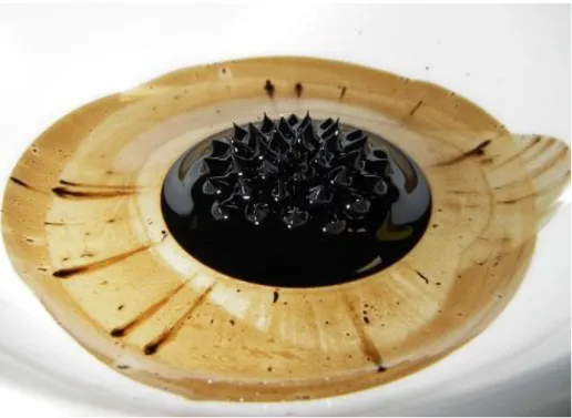 Figura 6: Fluido superparamagnético, também chamado ferrofluido, em um vidro  de relógio sobre um ímã de neodímio
