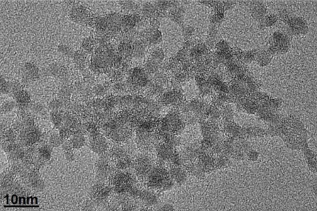 Figura 8: Imagem TEM de uma parte da amostra de nanopartículas de ferrita de cobalto em meio fluido.