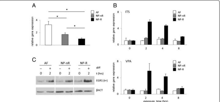 Fig. 1 Induction of EGR1 expression in IVD cell lines. a Basal expression of EGR1 mRNA in representative clones (AF-123, NP-nR 105 and NP-R 115).