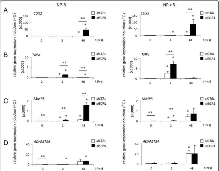Fig. 2a), we found that MMP3 followed a similar trend in this experimental setting: IL-1β induced MMP3 mRNA at higher levels in NP-nR siCTRL cells than in NP-R cells at 48 h