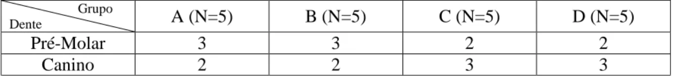Tabela 1 – Distribuição aleatória das amostras em cada grupo experimental, consoante o tipo de dente - pré- pré-molar ou canino
