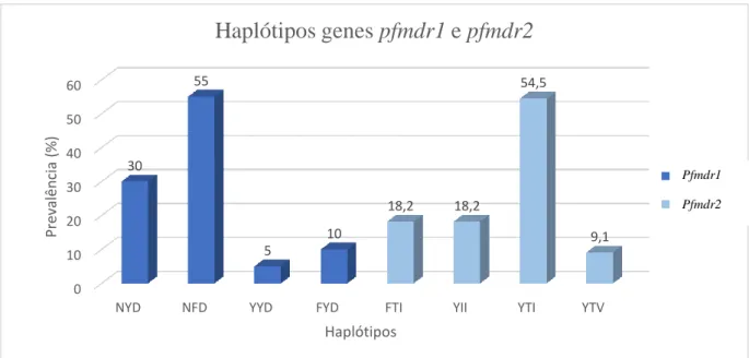 Figura 6 – Prevalência dos haplótipos dos genes pfmdr1 e pfmdr2. 