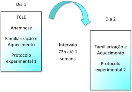 Figura 4 – Desenho experimental do estudo. 