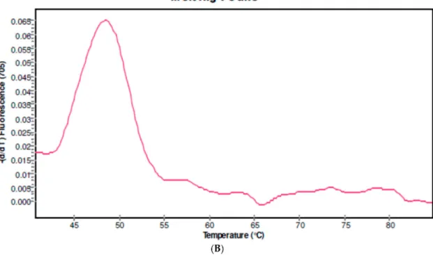 Figure 1. Genotyping of CYP2D6 *3*4*5/5. (A) Derivative melting curve plots—dF/dT vs. temperature.