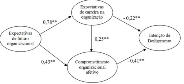 Figura 2. Coeficientes padronizados do modelo estrutural proposto