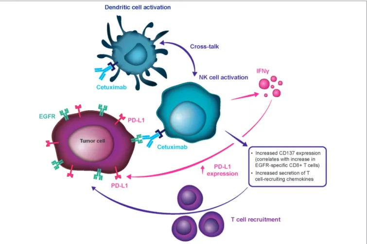 TABLe 1 | PD-1 axis immune checkpoint inhibitors under development for recurrent or metastatic squamous cell carcinoma of the head and neck.