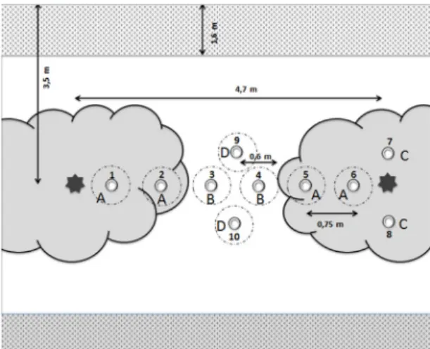 Figure 2. Scheme of microlysimeters position in a tree row with the shade of two contiguous trees: 