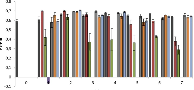 Figura 2. Eficiência fotoquímica do FSII em algas submetidas à presença de Cu1 (0,5μM/L),  Cu2  (1μM/L),  Cu3  (2μM/L),  0,002μM/L  (Cd1),  0,004μM/L  (Cd2)  e  0,008μM/L  (Cd3)