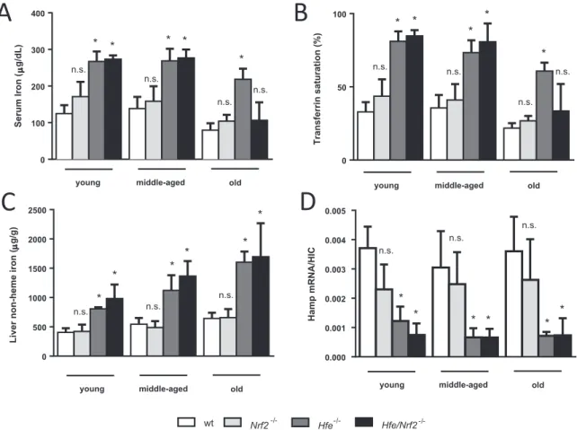 Fig. 3. Systemic and hepatic iron parameters. (A) Serum iron and (B) Transferrin saturation, N=6 – 14