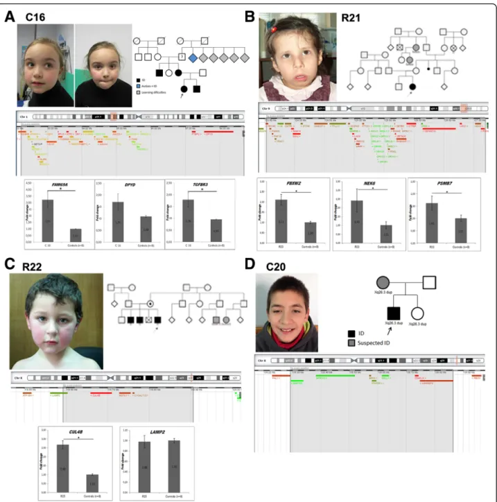 Fig. 2 Overview of some patients with likely pathogenic duplications. a Patient C16 - facial appearance: mildly dysmorphic, with high forehead and frontal bossing, thick eyebrows and mildly anteverted nares; pedigree, schematic representation of the duplic