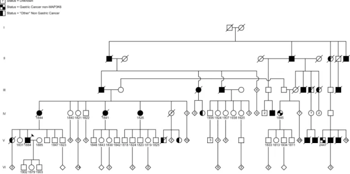 Figure 1. Pedigree of the Maritime Canadian family. Clinically affected individuals are indicated with shaded symbols