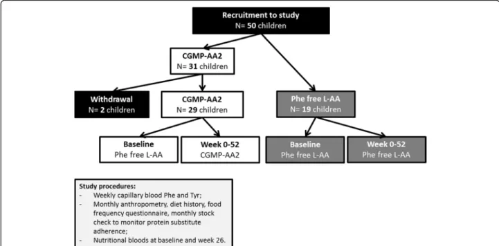 Fig. 1 Diagrammatic scheme showing recruitment and introduction of CGMP-AA2 and Phe-free L-AA