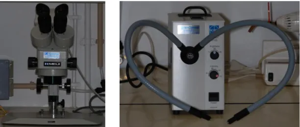 Figura 8. Estereomicroscópio Meji Techno EMZ-8TR (à esquerda) e fonte de  iluminação externa Volpi Intralux 5100 (à direita) 