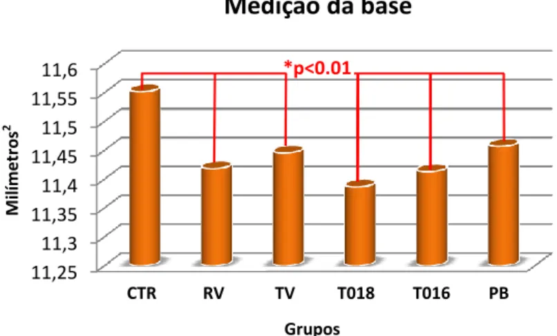Gráfico 4 – Resultados da medição da base 