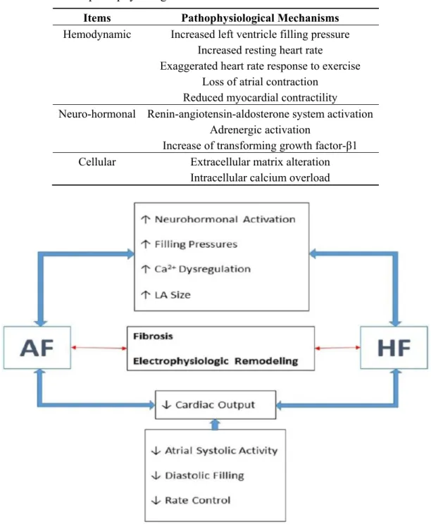 Table 1. Common pathophysiological mechanisms of heart failure and atrial fibrillation