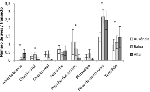 Figura 7 - Número de indivíduos observados por transecto (± intervalo de confiança a 95%) nos  talhões  com  diferentes  intensidades  de  pastoreio  (ausência,  baixa  e  alta  intensidade  de  pastoreio)