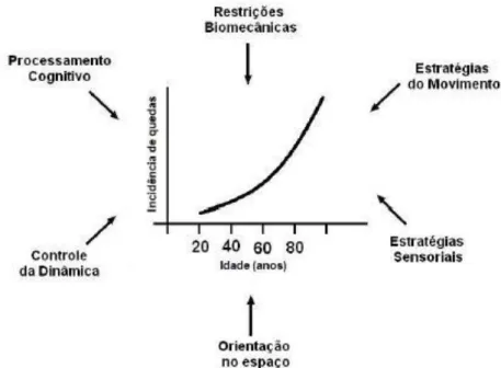 Figura 2 - Gráfico da orientação postural. 