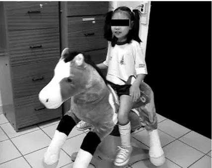 Fig 1. The riding simulator (Joba ® ) disguised as a velvet pony.  