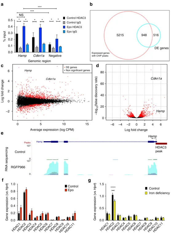 Fig. 9 Enrichment of HDAC3 at the hepcidin locus and effects of HDAC3 inhibition on genome-wide RNA expression pro ﬁ le