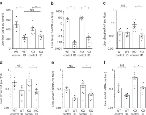 Fig. 2 Effects of ID in Fam132b knockout mice. Effects of 3-week iron-de ﬁ cient diet compared with control diet in 5-week-old wild-type and Fam132b knockout mice, on a liver iron content, b hepatic Hamp1 mRNA expression, c hepatic Bmp6 mRNA expression, d 