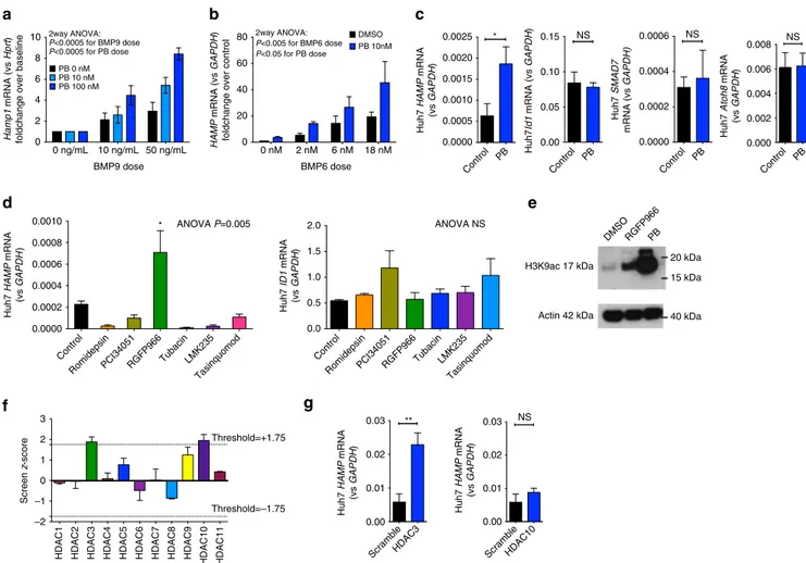 Fig. 6 In vitro effects of PB on HAMP expression in liver-derived cells. a Effect of Panobinostat 10 and 100 nM on BMP9- (0, 10, and 50 ng/ml) induced Hamp1 expression (relative to Hprt ) in mouse precision cut liver slices