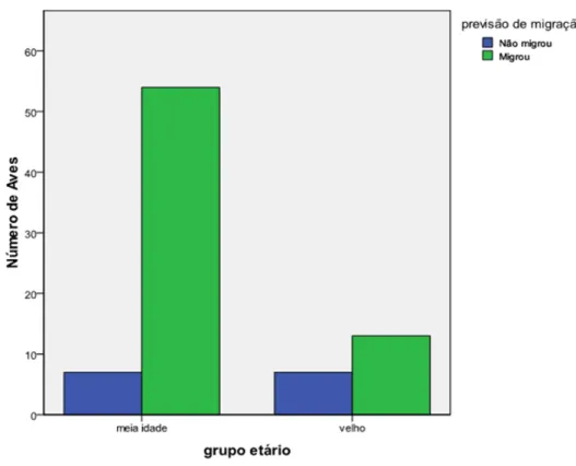 Figura 6 – Comparação entre machos de meia-idade e machos velhos em relação ao  comportamento migratório (migrou ou não migrou)