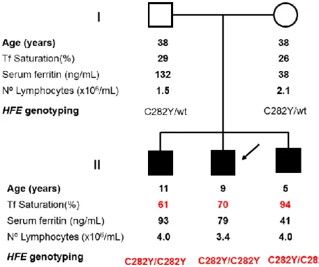 Figure 1. Family Pedigree of the case study. Age, serum markers of iron metabolism, total lymphocyte  counts, and HFE (OMIM 235200) genotype are shown for each subject