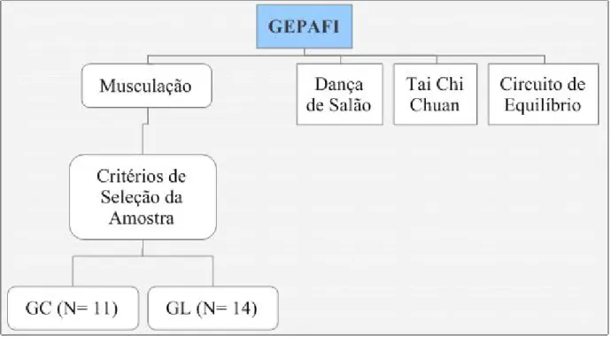 FIGURA 1. Descrição das atividades desenvolvidas no GEPAFI.