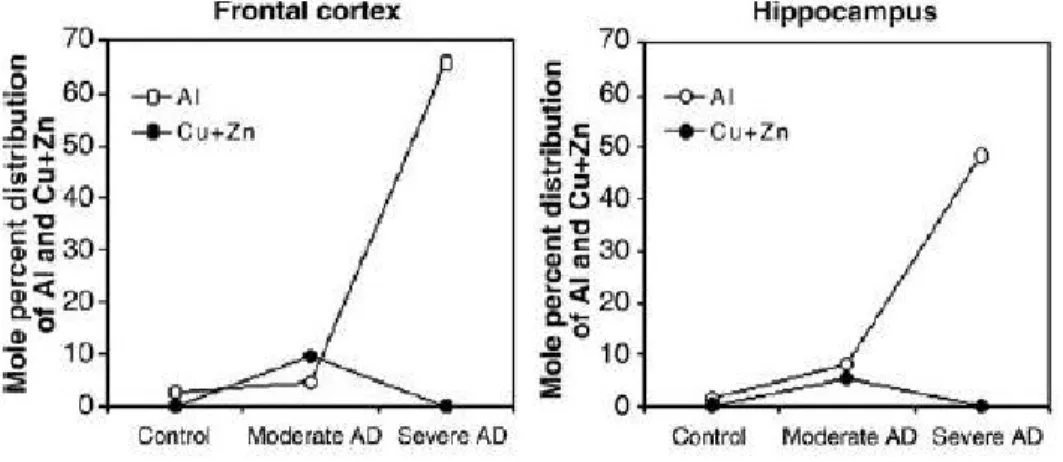 Figura  5.1  –  Níveis  de  alumínio,  de  cobre  e  de  zinco  no  córtex  frontal  e  no  hipocampo  durante  a  progressão da Doença de Alzheimer (Fonte: Gupta et al., 2005)