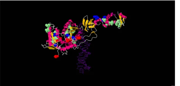 Figure 1. Positions selected in vivo under RAL pressure in an HIV-2 integrase 3D model