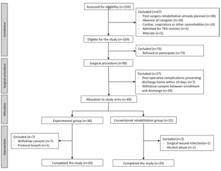 Figure 1 shows the CONSORT diagram for the study. The study inclusion rate was of 29%