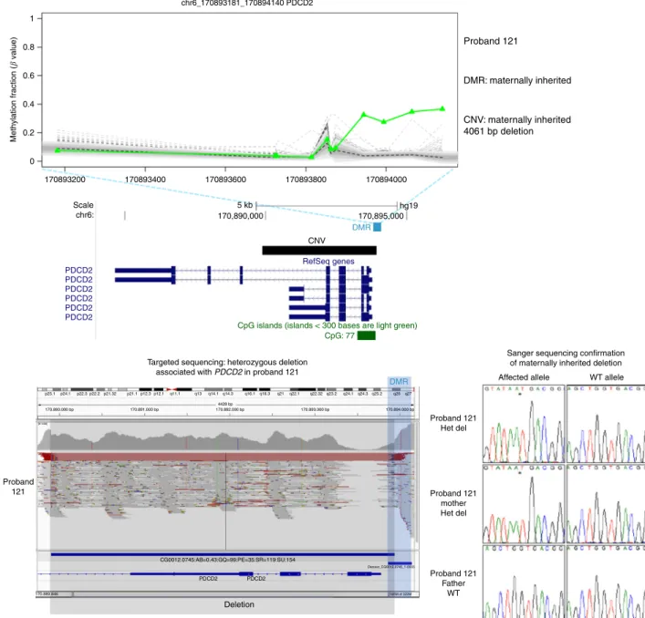 Fig. 3 Detection of rare CNVs by targeted sequencing of epivariations and their ﬂ anks