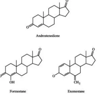 Figura 10 - Estruturas químicas do substrato da aromatase  e dos inibidores da aromatase esteróides (adaptado de 