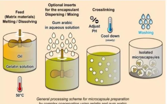 Figure 11: Complex Coacervation method (36) 