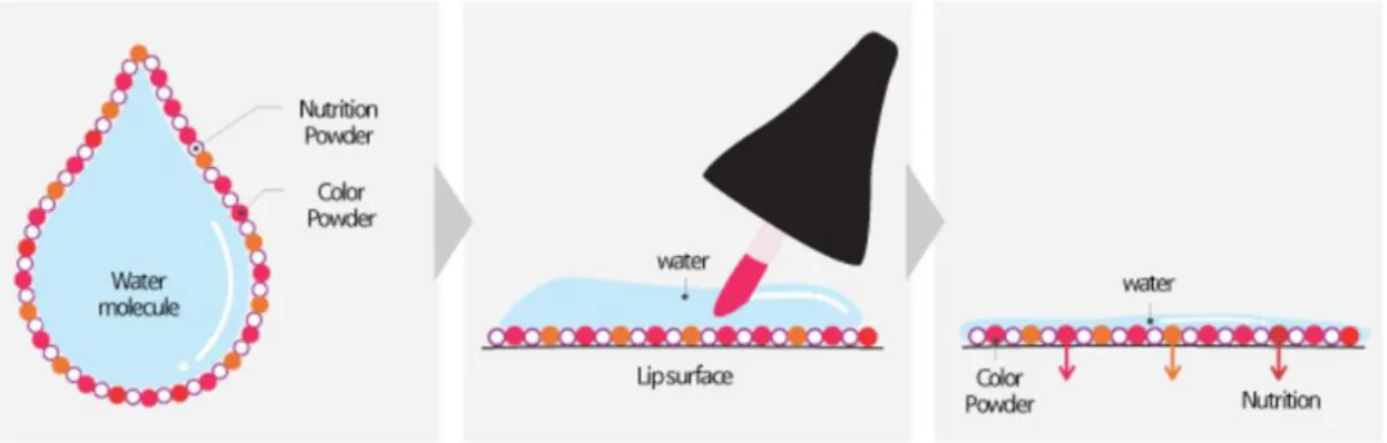 Figure 13: Lip powder structure and functioning (37) 