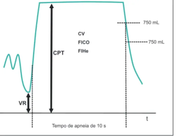 Fig. 2 – Spirometry of the single-breath method for de- de-termining diffusion capacity