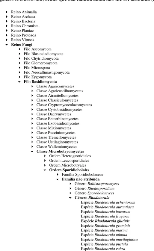 Figura 1. Árvore taxonómica da Rhodotorula glutinis. Adaptado de Catalogue of Life [1] 
