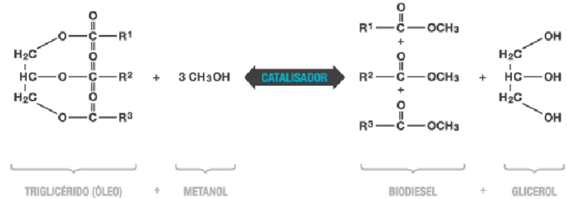 Figura 4. Esquema da transesterificação para produção de biodiesel. Os radicais R 1 , R 2  e R 3  representam cadeias  longas hidrocarbonadas que constituem os ácidos gordos