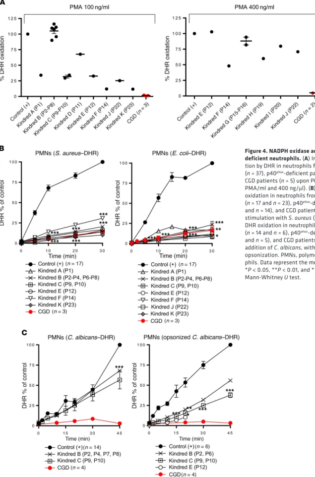 Figure 4. NADPH oxidase activity in p40 phox -  deficient neutrophils. (A) Intracellular ROS  produc-tion by DHR in neutrophils from healthy controls  (n = 37), p40 phox -deficient patients (n = 17), and  CGD patients (n = 5) upon PMA stimulation (100 ng  