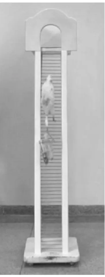 Figura  2.  Modelo  de  escada  para  o  protocolo  de  treinamento  resistido  (TR).  Foi  utilizada  uma  escada  vertical  com  110  cm,  18  cm,  2  cm  de  grade  e  80º  de  inclinação  com  uma  câmara  de  alojamento  acoplada  ao  final  da  escad