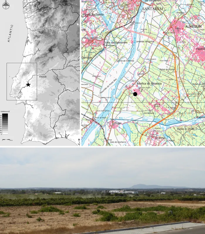 Fig. 1. Left: location of the region under study (rectangle) and the Neolithic site of Cortic¸ óis (star); right: site location and neighbouring area; bottom: a view of the sandy terraces and vineyards immediately ahead of the Cortic¸ óis platform where th