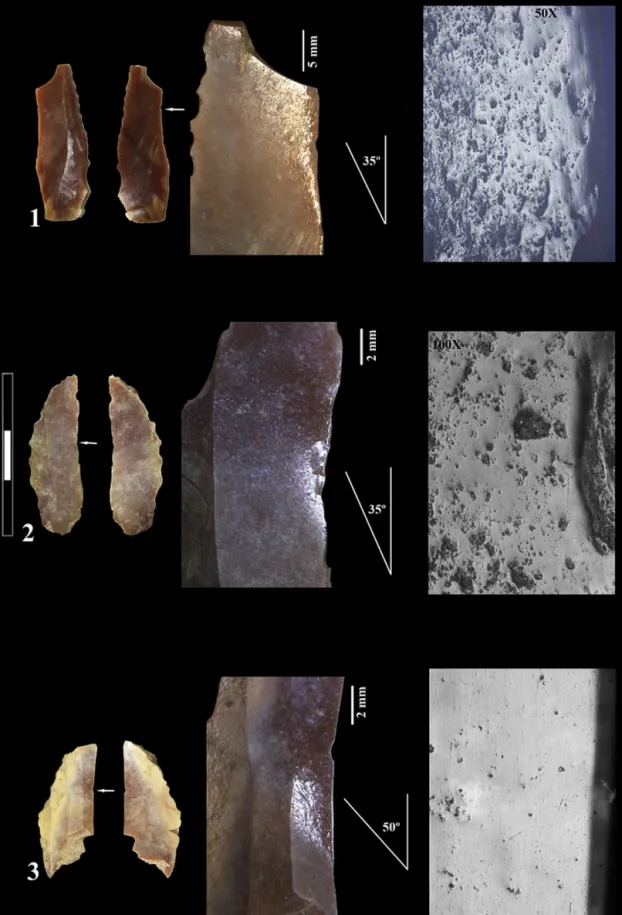 Fig. 4. Flint blade used in cereal harvesting. Macroscopic photos show diagonal distributions of polishing on the blade surface.