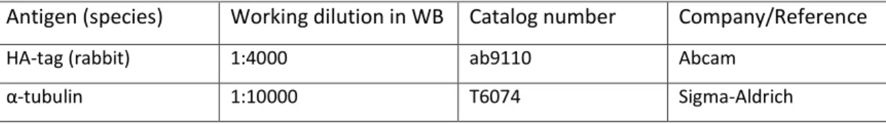 Table 5.1 – Primary antibodies used in Western blot 
