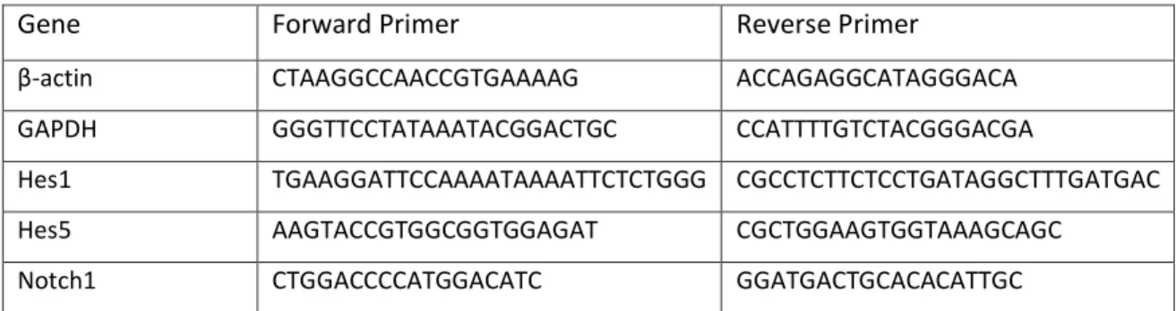 Table 7 – Primers used in expression-qPCR 